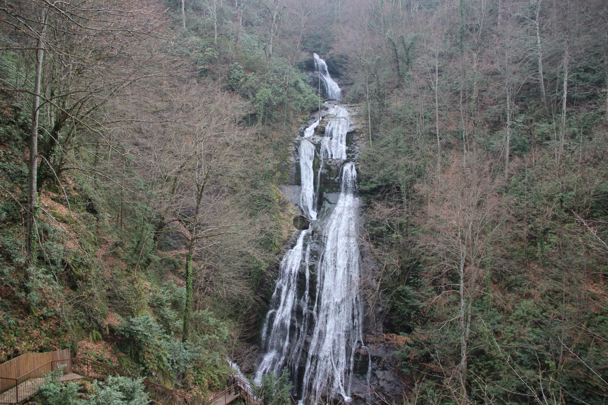 IMG-20250202-WA0051.jpg