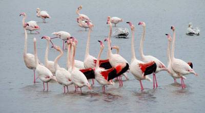79bb17c4-7a2e-48a1-afb0-2a4a84211ced.jpg