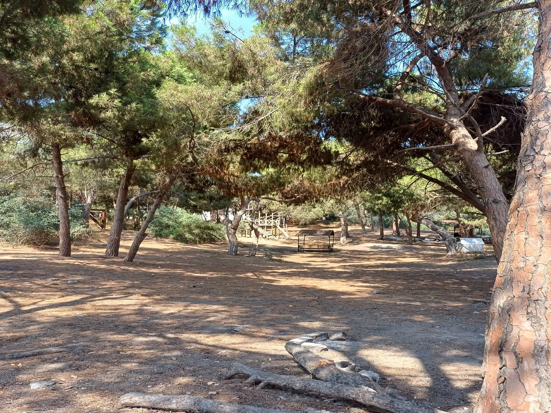 Günübirlik Piknik