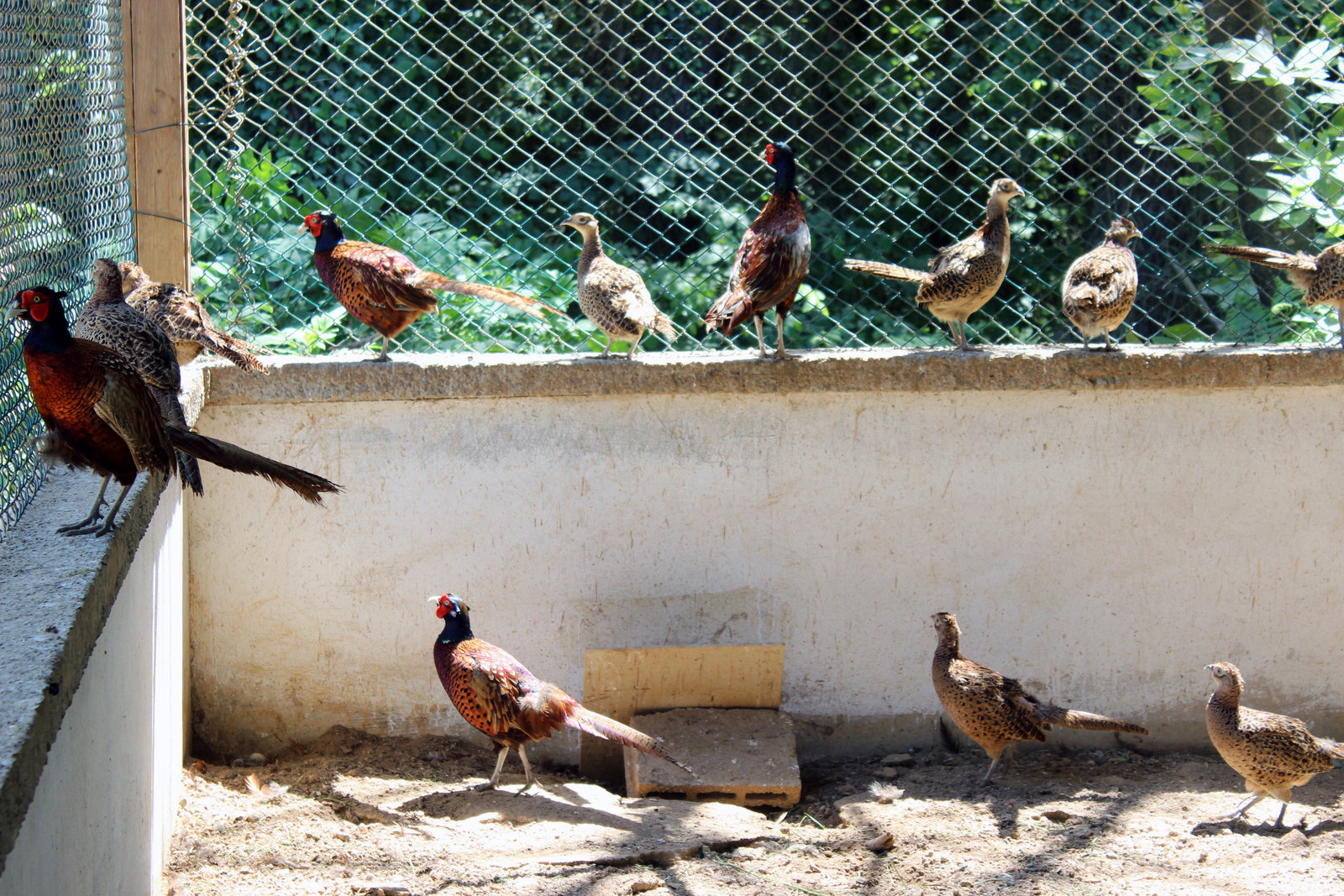 345_result.jpg